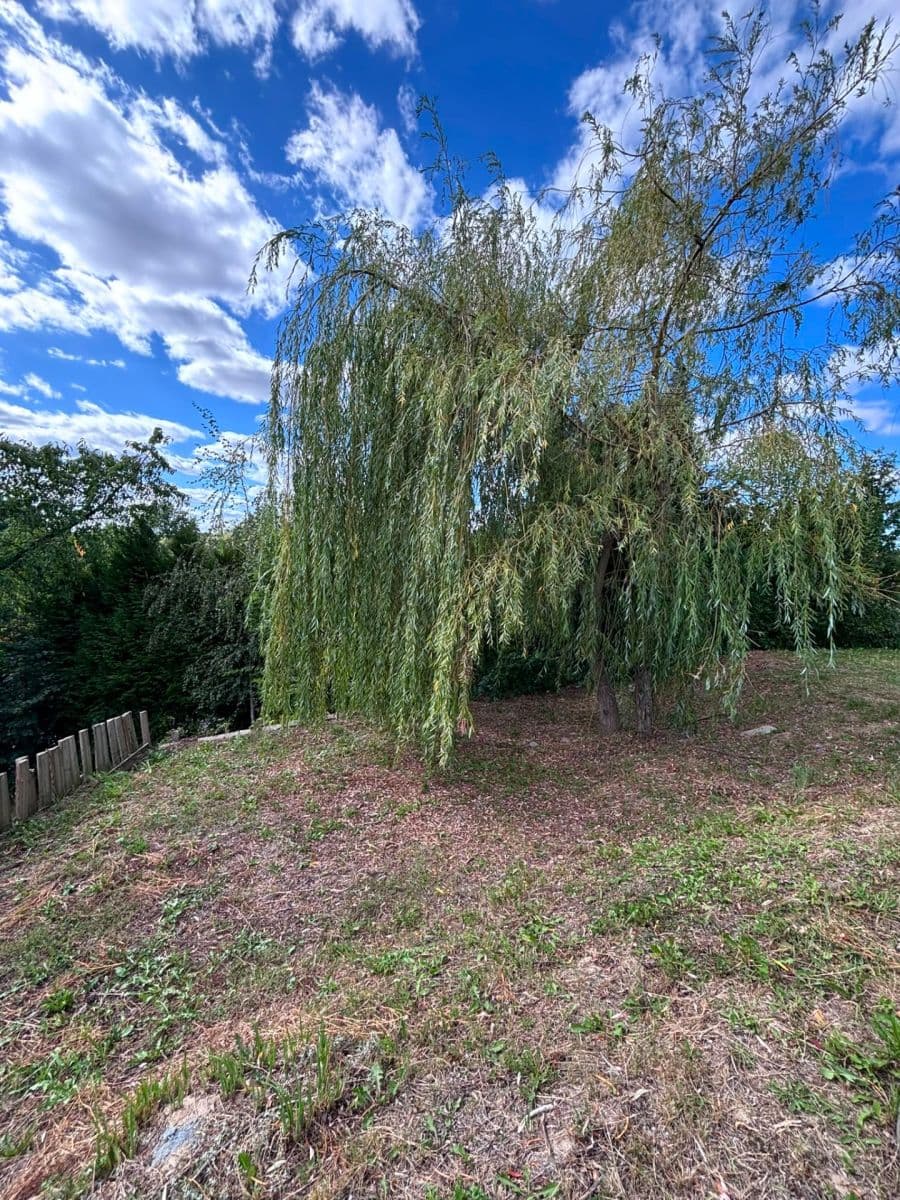 Prodej chaty, chalupy 16 m², pozemek 312 m², U Zahrádek, Klimkovice, Moravskoslezský kraj Prodej chaty, chalupy 16 m², pozemek 312 m², U Zahrádek, Klimkovice, Moravskoslezský kraj