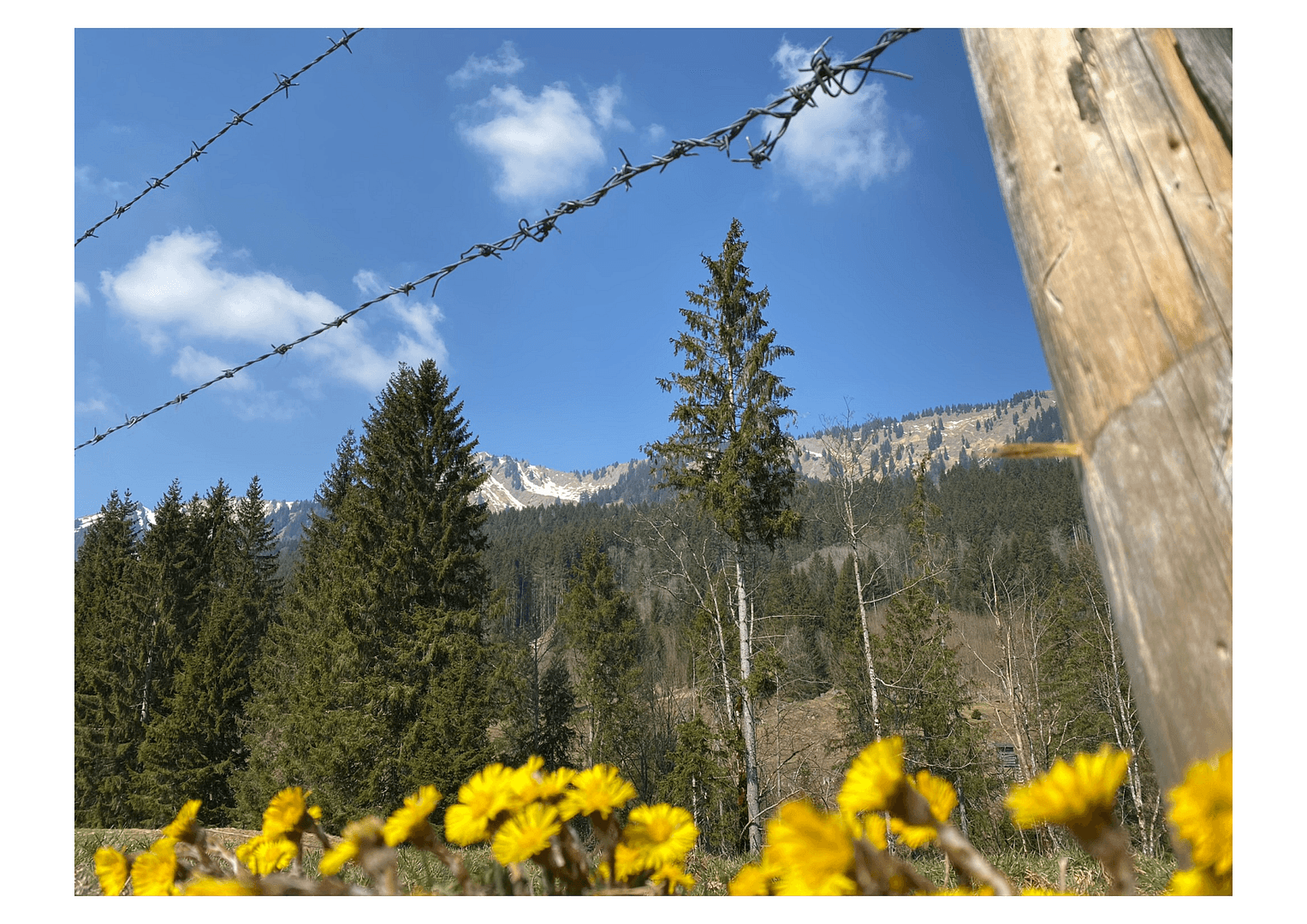 Prodej domu 1.050 m², pozemek 900 m², Sonthofen, Bavorsko Prodej domu 1.050 m², pozemek 900 m², Sonthofen, Bavorsko