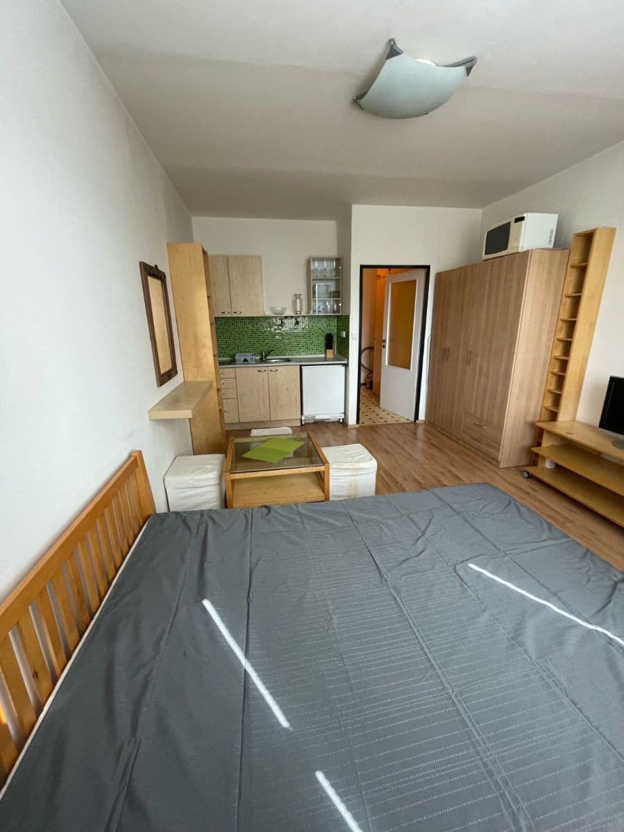 Pronájem bytu 1+kk 25 m², Nad Lesním divadlem, Praha, Praha Pronájem bytu 1+kk 25 m², Nad Lesním divadlem, Praha, Praha