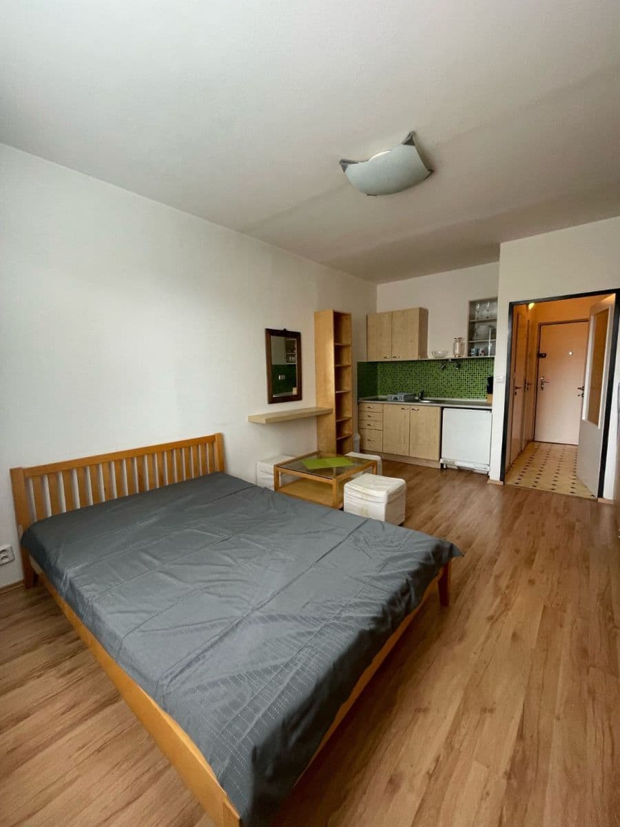 Pronájem bytu 1+kk 25 m², Nad Lesním divadlem, Praha, Praha Pronájem bytu 1+kk 25 m², Nad Lesním divadlem, Praha, Praha