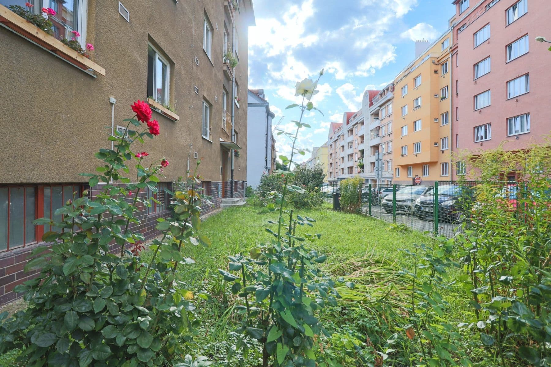 Pronájem bytu 2+1 59 m², Jeseniova, Praha, Praha Pronájem bytu 2+1 59 m², Jeseniova, Praha, Praha