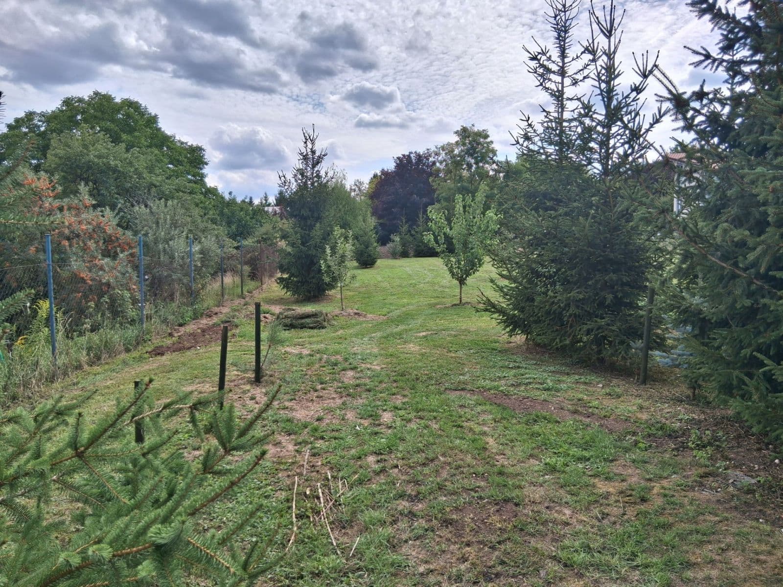 Pronájem pozemku 1.300 m², Roztoky, Středočeský kraj Pronájem pozemku 1.300 m², Roztoky, Středočeský kraj