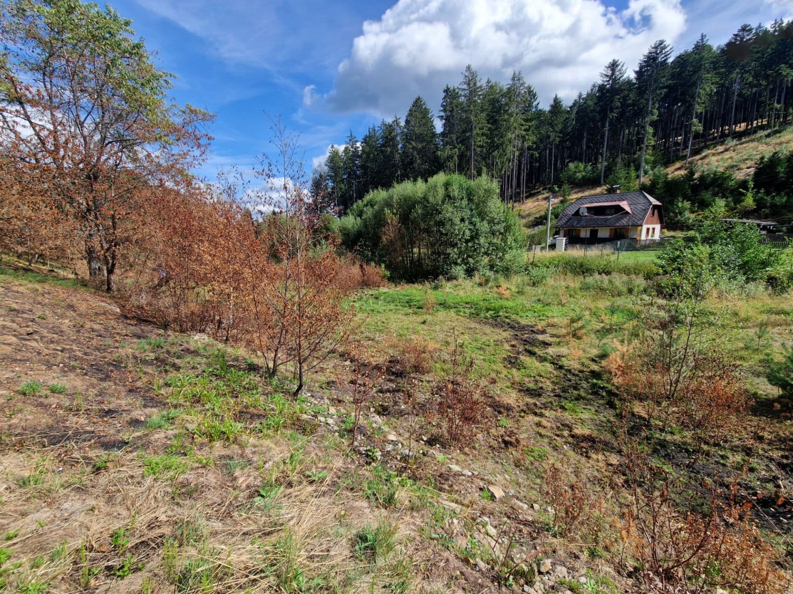 Prodej pozemku 15.955 m², Žihobce, Plzeňský kraj Prodej pozemku 15.955 m², Žihobce, Plzeňský kraj