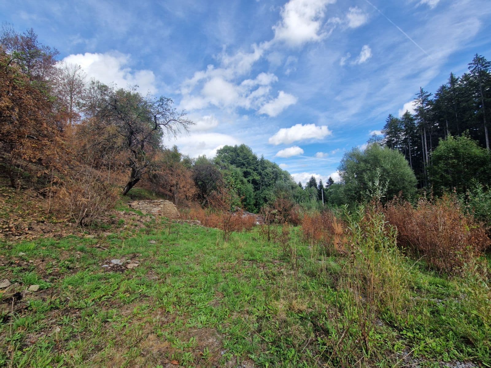 Prodej pozemku 15.955 m², Žihobce, Plzeňský kraj Prodej pozemku 15.955 m², Žihobce, Plzeňský kraj