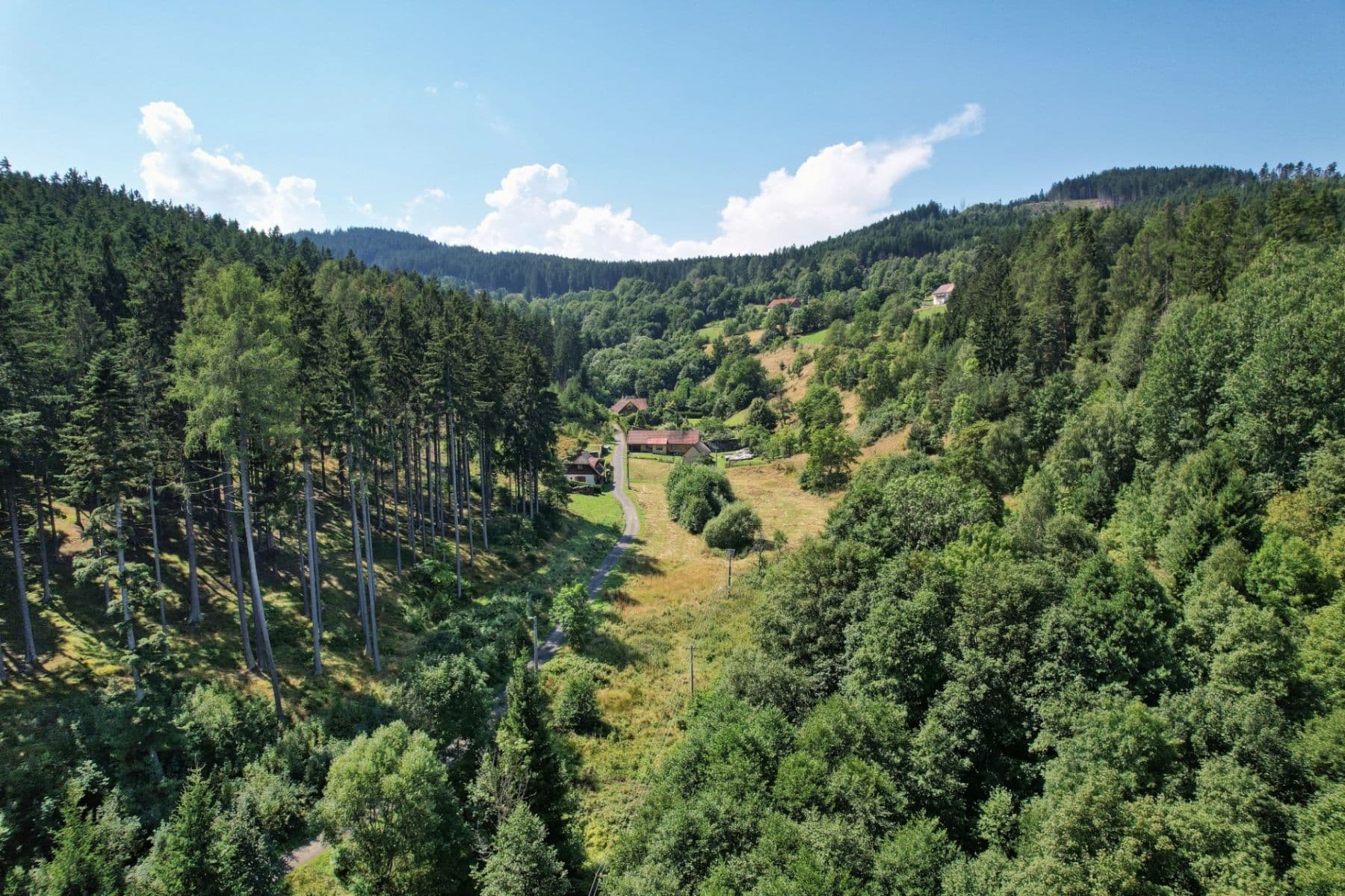 Prodej pozemku 15.955 m², Žihobce, Plzeňský kraj Prodej pozemku 15.955 m², Žihobce, Plzeňský kraj