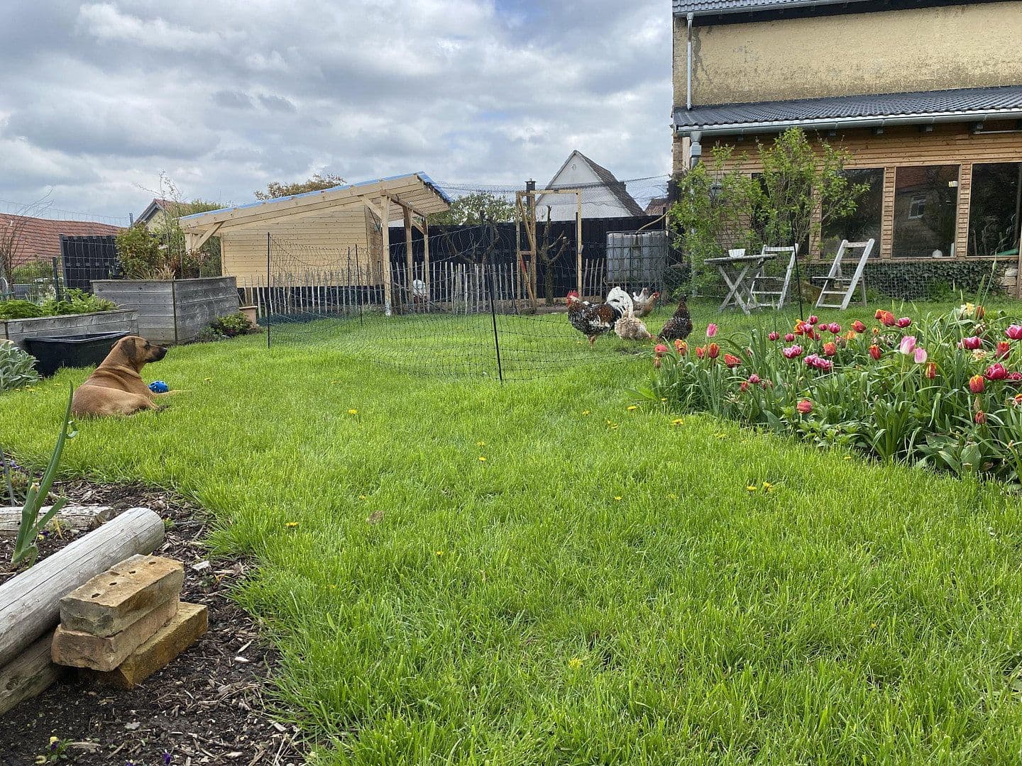 Prodej domu 120 m², pozemek 830 m², Bechenheim, Porýní-Falc Prodej domu 120 m², pozemek 830 m², Bechenheim, Porýní-Falc