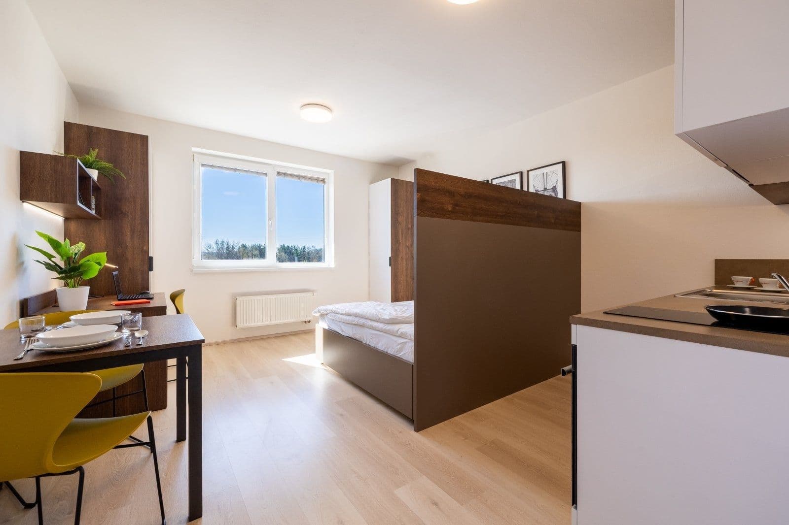 Pronájem bytu 1+kk 27 m², Magisterská, Plzeň, Plzeňský kraj Pronájem bytu 1+kk 27 m², Magisterská, Plzeň, Plzeňský kraj