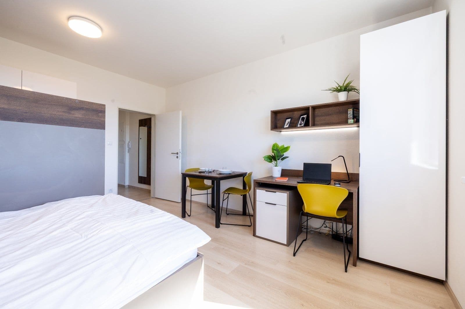 Pronájem bytu 1+kk 27 m², Magisterská, Plzeň, Plzeňský kraj Pronájem bytu 1+kk 27 m², Magisterská, Plzeň, Plzeňský kraj