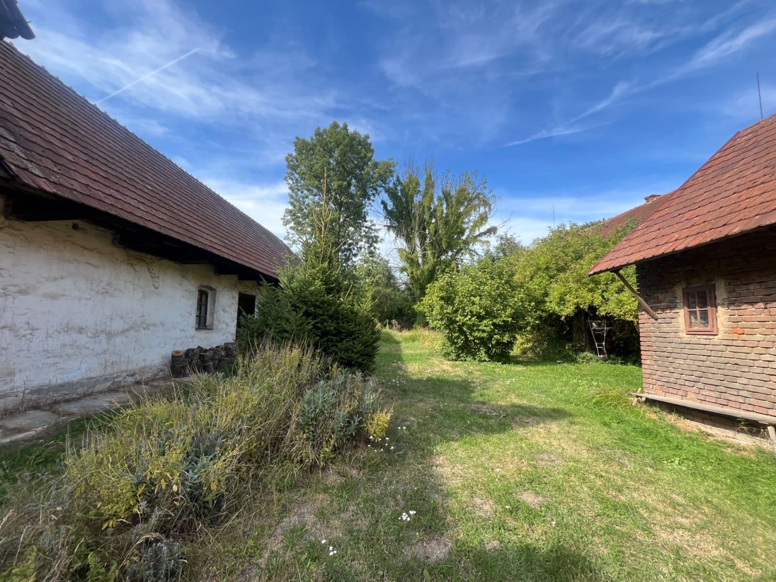 Prodej chaty, chalupy 134 m², pozemek 3.129 m², Nový Bydžov, Královéhradecký kraj Prodej chaty, chalupy 134 m², pozemek 3.129 m², Nový Bydžov, Královéhradecký kraj
