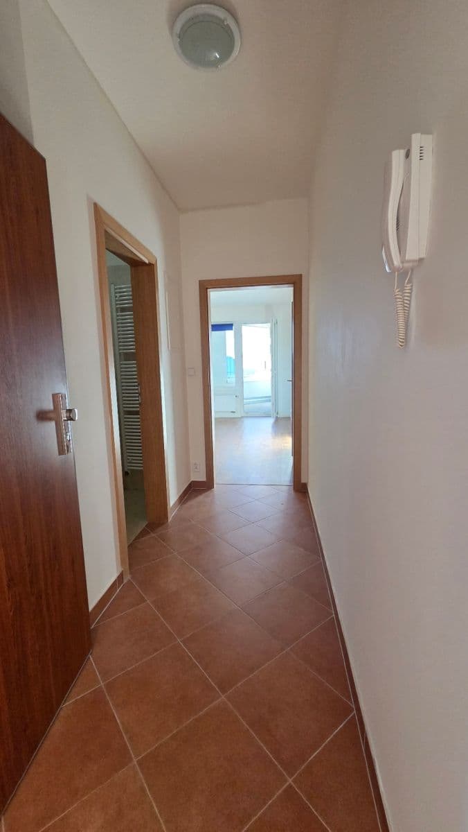 Pronájem bytu 1+kk 30 m², Hornoměcholupská, Praha, Praha Pronájem bytu 1+kk 30 m², Hornoměcholupská, Praha, Praha