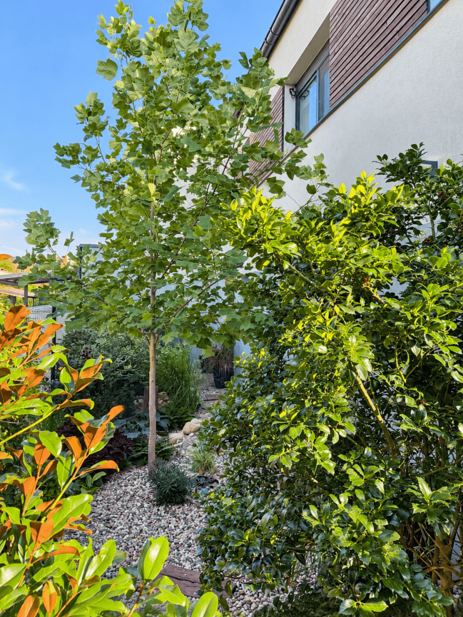 Prodej domu 124 m², pozemek 354 m², V Brance, Rudná, Středočeský kraj Prodej domu 124 m², pozemek 354 m², V Brance, Rudná, Středočeský kraj