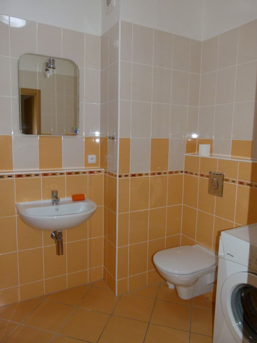 Pronájem bytu 1+kk 39 m², Chudčická, Brno, Jihomoravský kraj Pronájem bytu 1+kk 39 m², Chudčická, Brno, Jihomoravský kraj