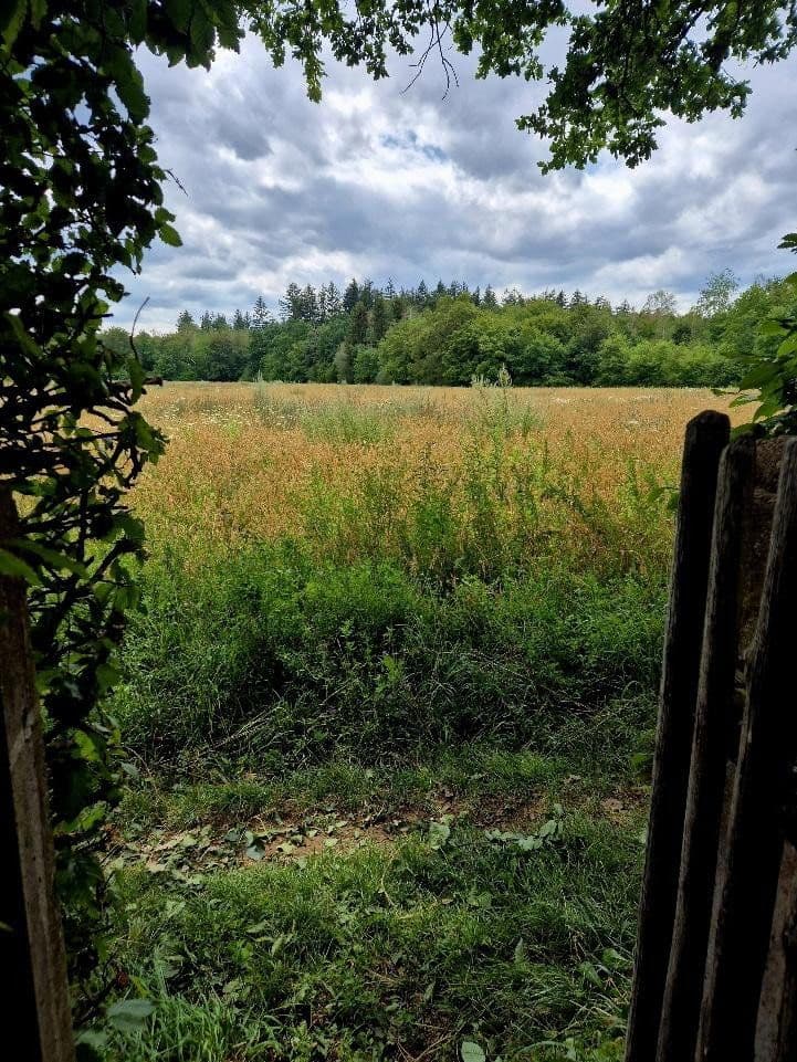 Prodej pozemku 1.191 m², Gräfelfing, Bavorsko Prodej pozemku 1.191 m², Gräfelfing, Bavorsko