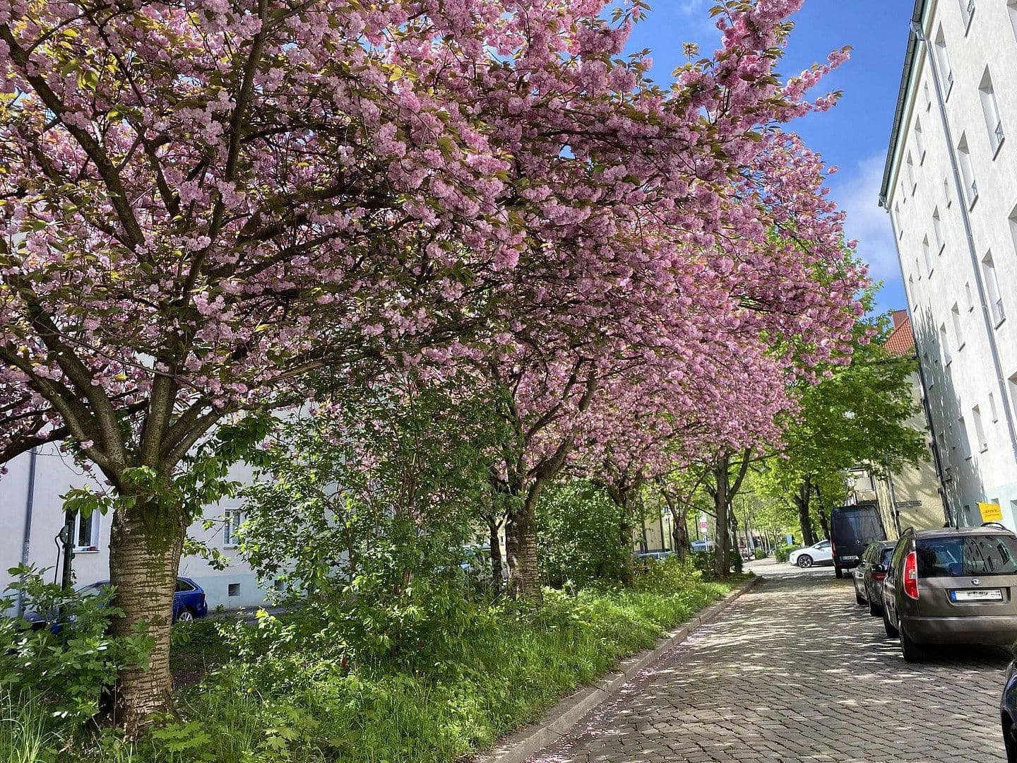 Prodej nebytového prostoru 49 m², Rudolf-Schwarz-Straße 21, Berlin, Berlín Prodej nebytového prostoru 49 m², Rudolf-Schwarz-Straße 21, Berlin, Berlín