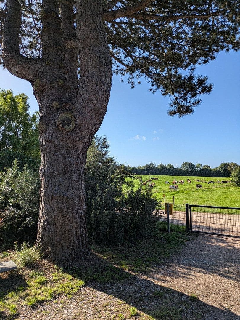 Prodej domu 140 m², pozemek 1.399 m², Blekendorf, Šlesvicko-Holštýnsko Prodej domu 140 m², pozemek 1.399 m², Blekendorf, Šlesvicko-Holštýnsko