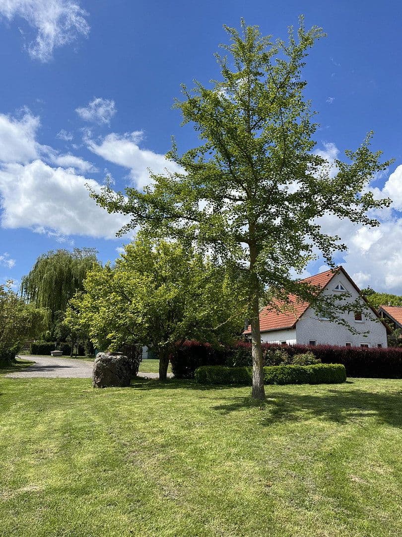Prodej domu 190 m², pozemek 1.200 m², Frellstedt, Dolní Sasko Prodej domu 190 m², pozemek 1.200 m², Frellstedt, Dolní Sasko