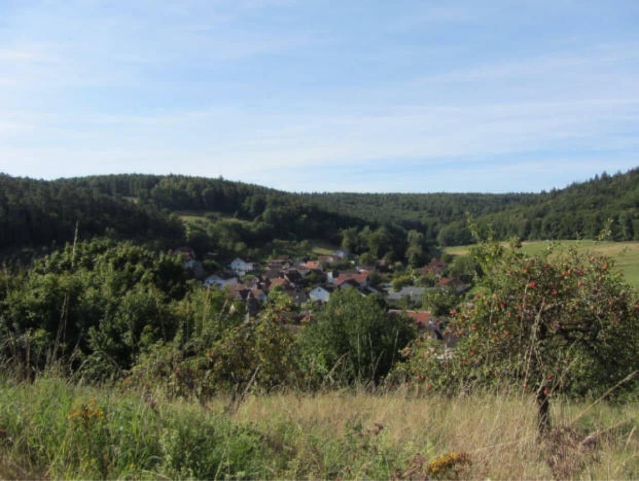 Prodej pozemku 3.398 m², Breuberg, Hessen Prodej pozemku 3.398 m², Breuberg, Hessen