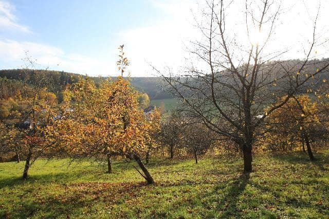Prodej pozemku 3.398 m², Breuberg, Hessen Prodej pozemku 3.398 m², Breuberg, Hessen