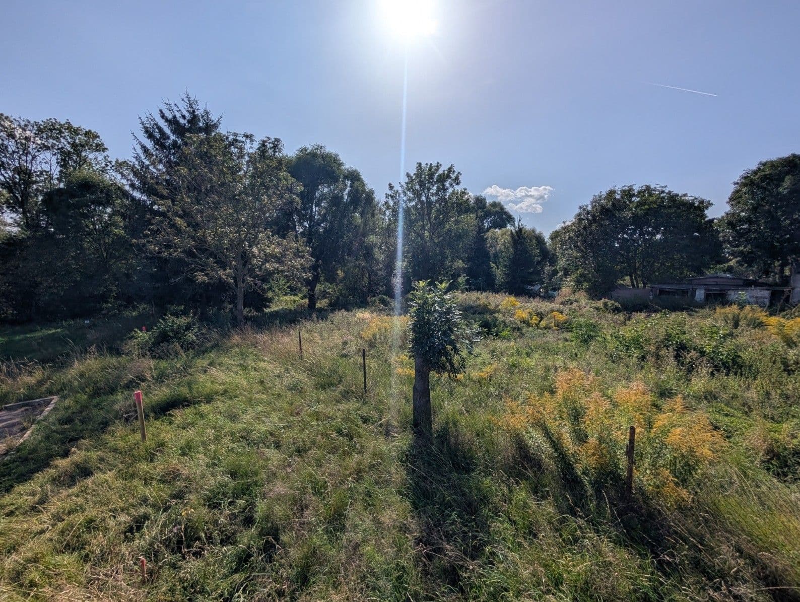 Prodej pozemku 1.036 m², Třebusice, Středočeský kraj Prodej pozemku 1.036 m², Třebusice, Středočeský kraj