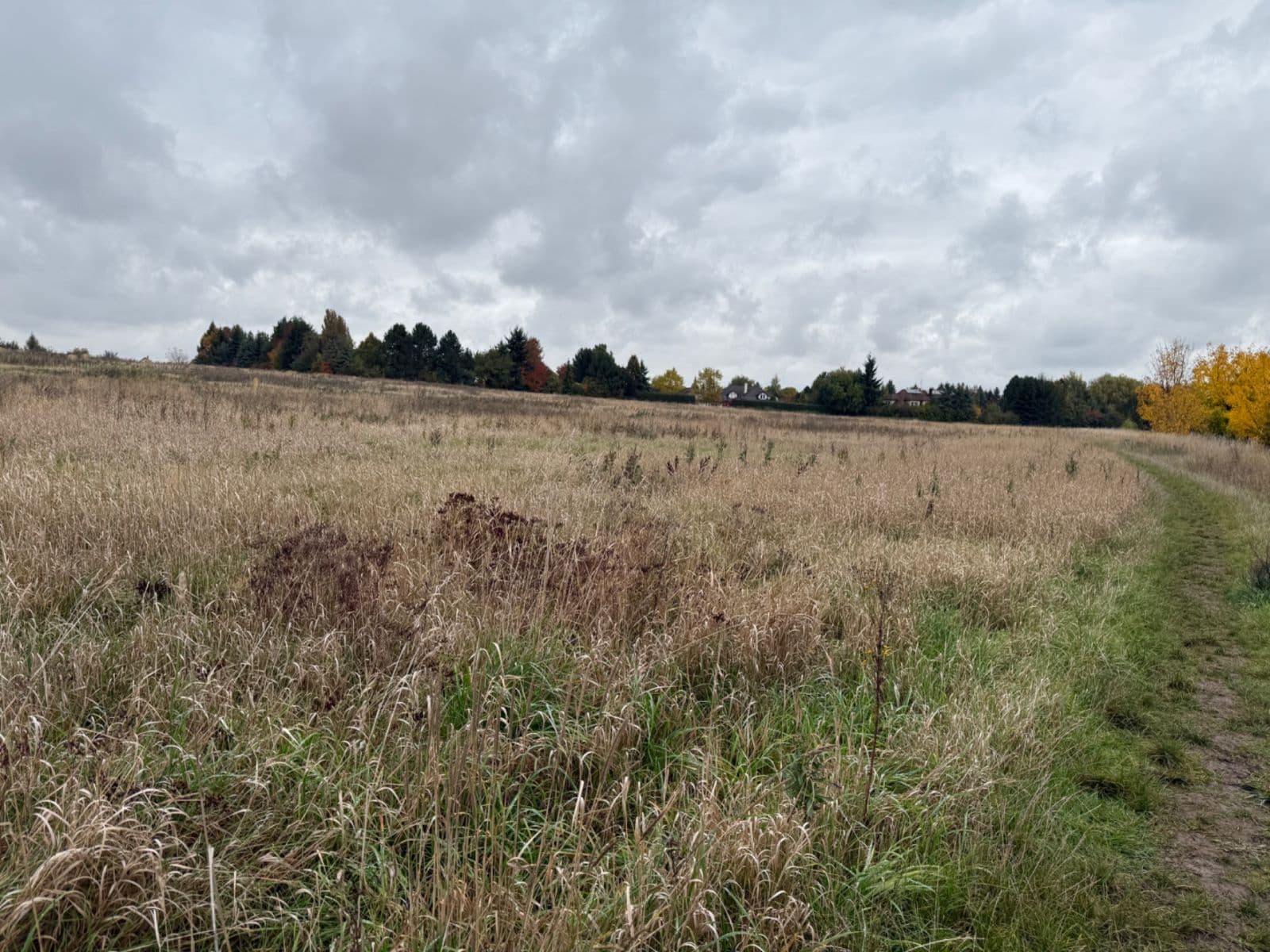 Pronájem pozemku 2.600 m², Úhonice, Středočeský kraj Pronájem pozemku 2.600 m², Úhonice, Středočeský kraj