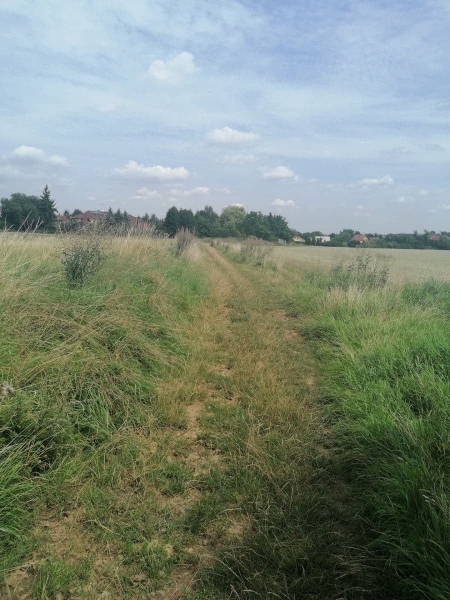 Pronájem pozemku 2.600 m², Úhonice, Středočeský kraj Pronájem pozemku 2.600 m², Úhonice, Středočeský kraj