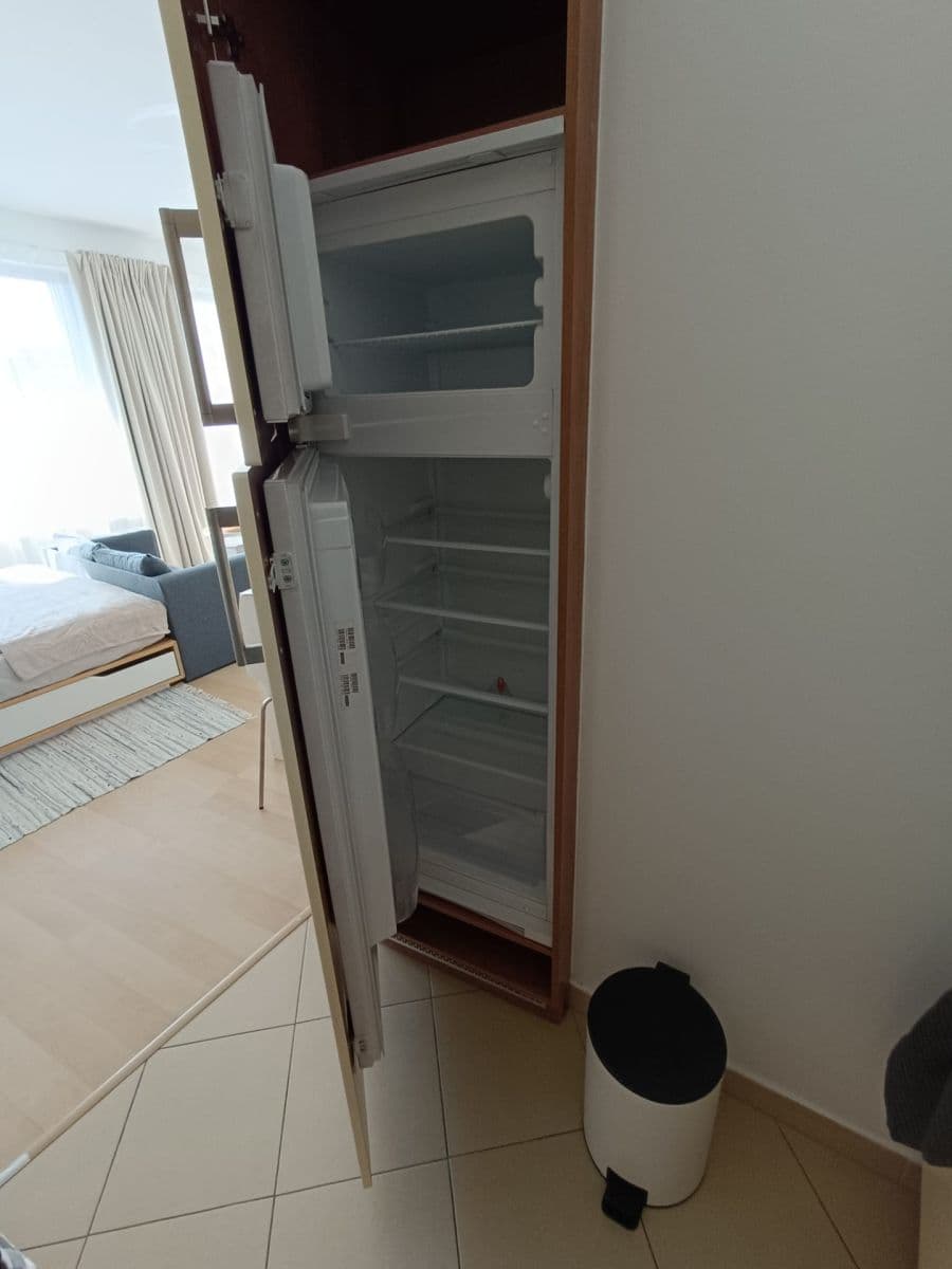 Pronájem bytu 1+kk 45 m², Nademlejnská, Praha, Praha Pronájem bytu 1+kk 45 m², Nademlejnská, Praha, Praha