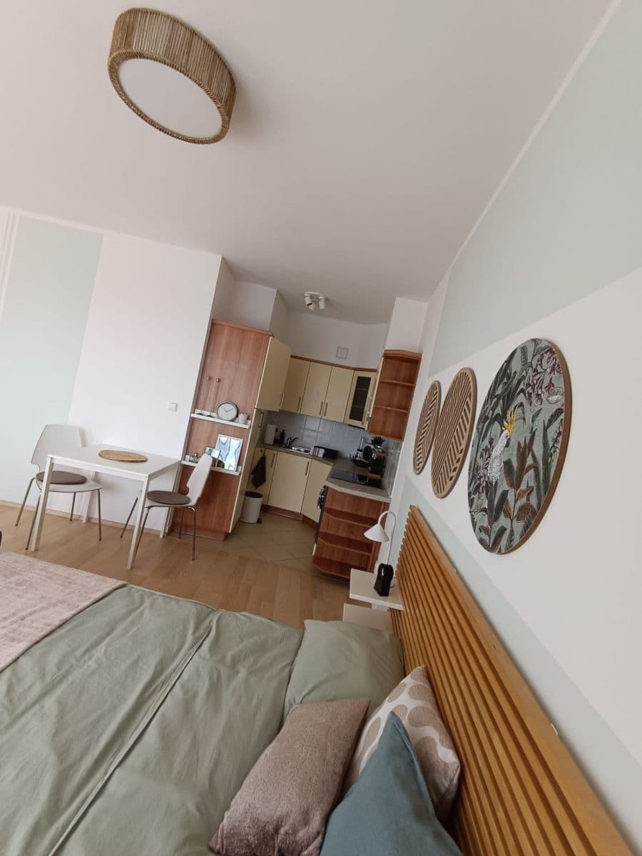 Pronájem bytu 1+kk 45 m², Nademlejnská, Praha, Praha Pronájem bytu 1+kk 45 m², Nademlejnská, Praha, Praha