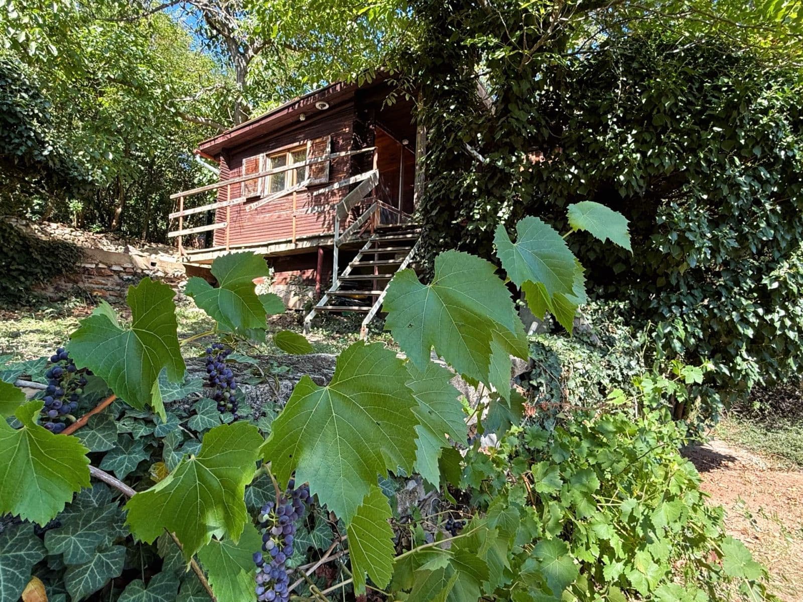 Prodej chaty, chalupy 25 m², pozemek 525 m², Praha, Praha Prodej chaty, chalupy 25 m², pozemek 525 m², Praha, Praha