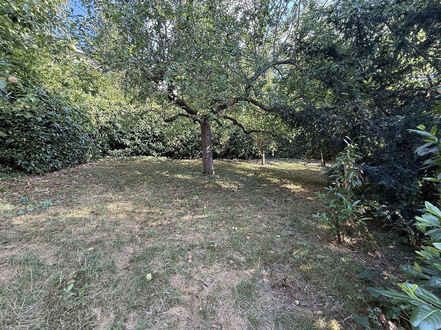 Prodej domu 231 m², pozemek 956 m², Gustav Freytag Straße, Wertheim, Bádensko-Württembersko Prodej domu 231 m², pozemek 956 m², Gustav Freytag Straße, Wertheim, Bádensko-Württembersko