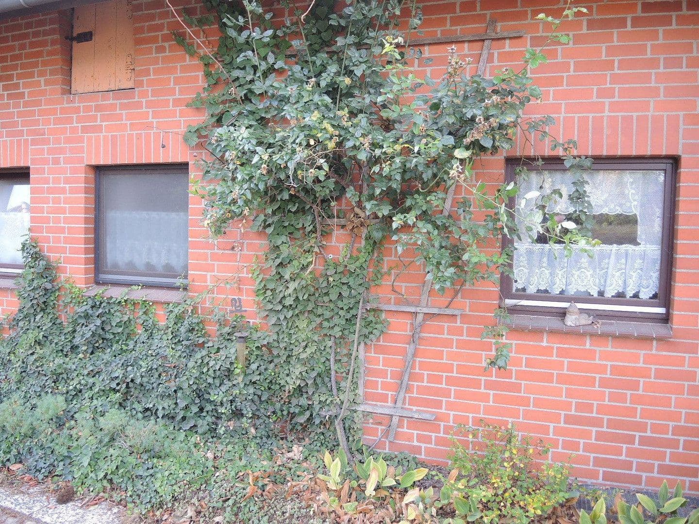 Prodej domu 190 m², pozemek 1.000 m², Am Winkel 1, Lemgow, Dolní Sasko Prodej domu 190 m², pozemek 1.000 m², Am Winkel 1, Lemgow, Dolní Sasko