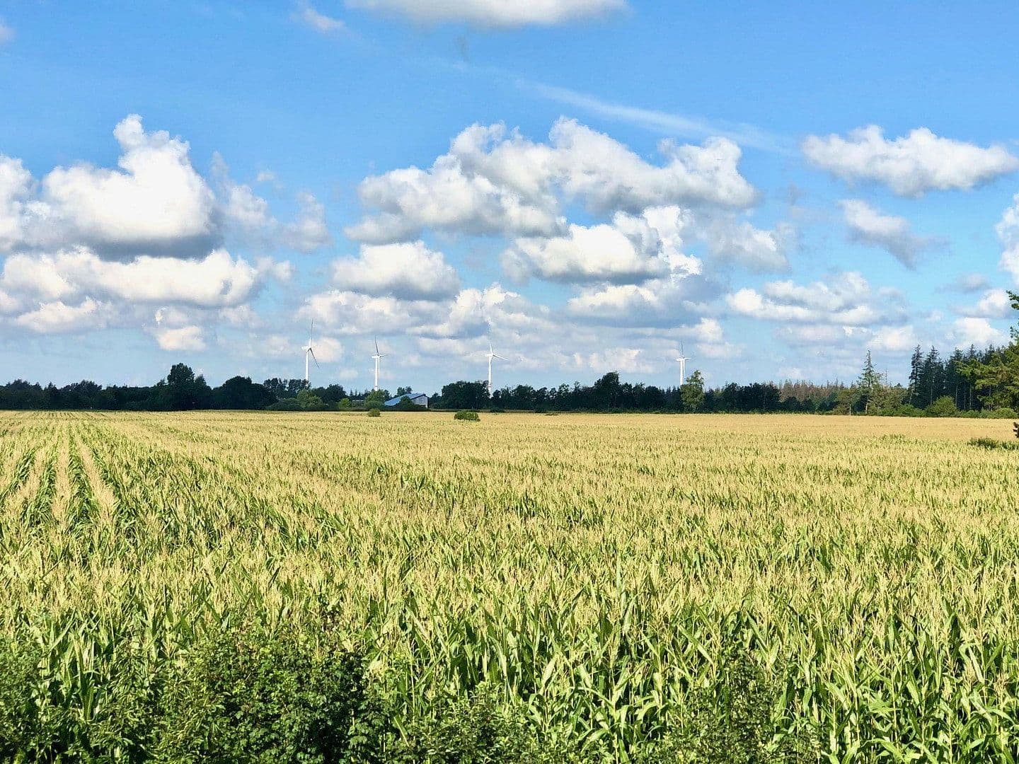 Prodej domu 291 m², pozemek 5.500 m², Högel, Šlesvicko-Holštýnsko Prodej domu 291 m², pozemek 5.500 m², Högel, Šlesvicko-Holštýnsko