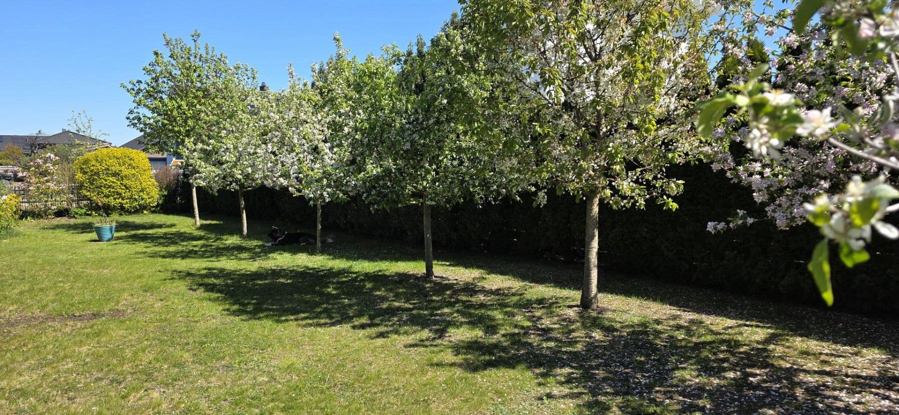 Prodej domu 242 m², pozemek 1.040 m², Riede, Dolní Sasko Prodej domu 242 m², pozemek 1.040 m², Riede, Dolní Sasko