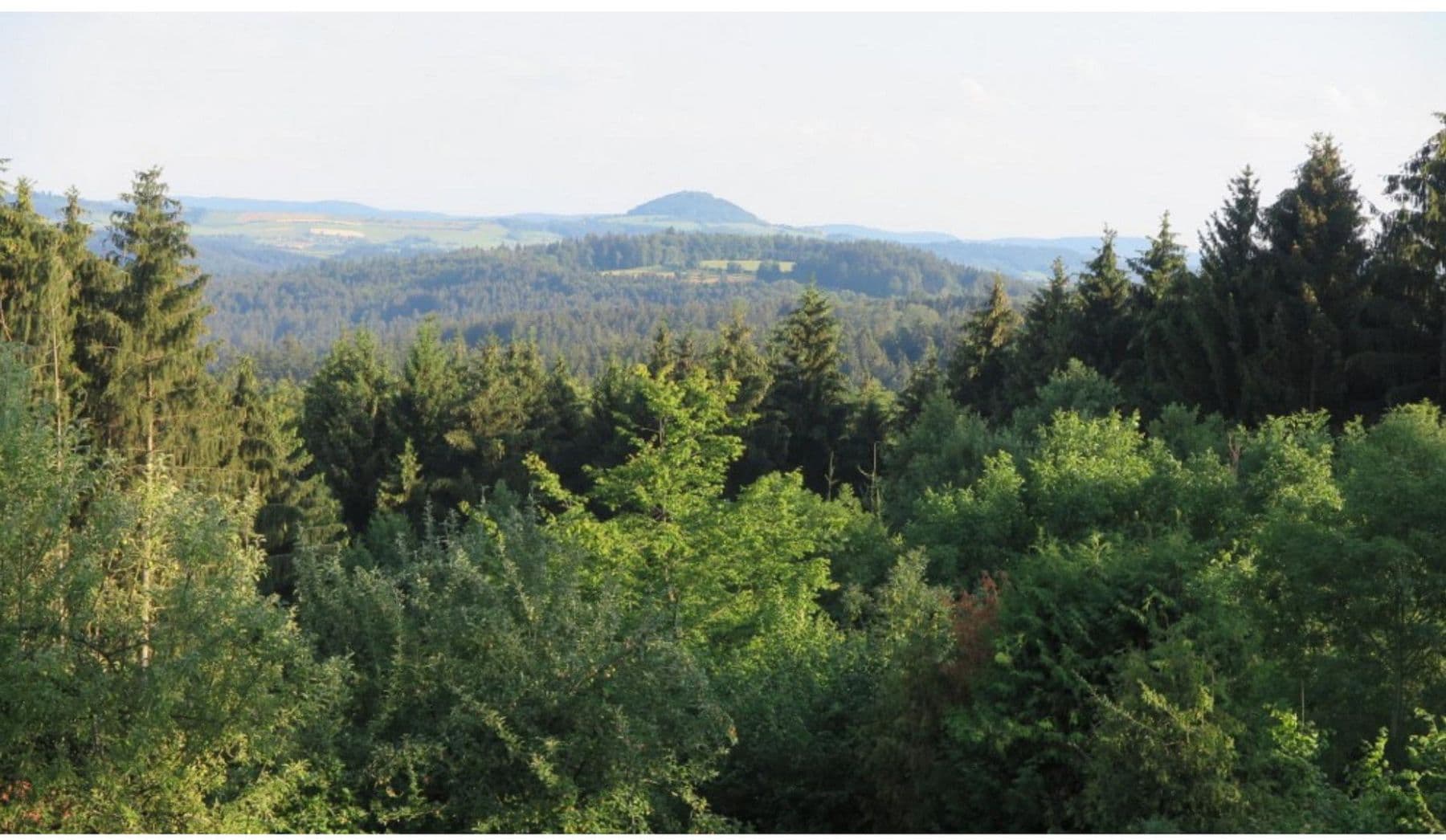 Prodej pozemku 2.435 m², Alfdorf, Bádensko-Württembersko Prodej pozemku 2.435 m², Alfdorf, Bádensko-Württembersko