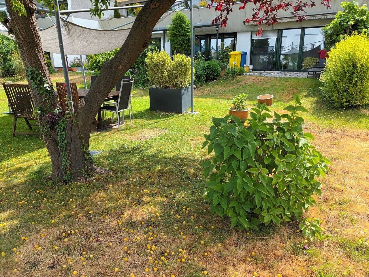 Pronájem bytu 1+1 60 m², Berlin, Berlín Pronájem bytu 1+1 60 m², Berlin, Berlín