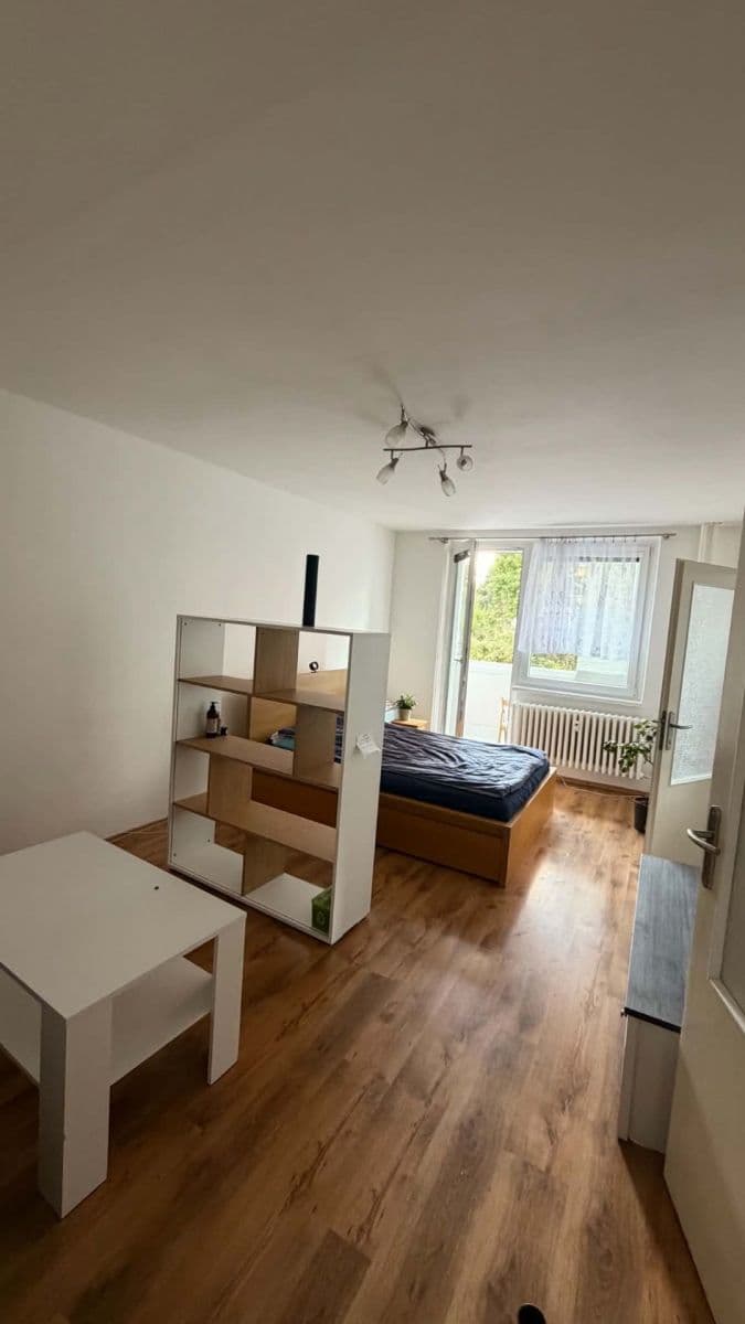 Pronájem bytu 1+1 44 m², Rerychova, Brno, Jihomoravský kraj Pronájem bytu 1+1 44 m², Rerychova, Brno, Jihomoravský kraj