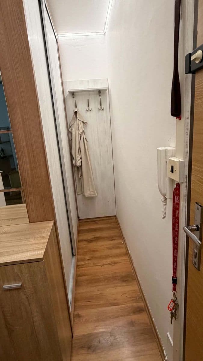 Pronájem bytu 1+1 44 m², Rerychova, Brno, Jihomoravský kraj Pronájem bytu 1+1 44 m², Rerychova, Brno, Jihomoravský kraj