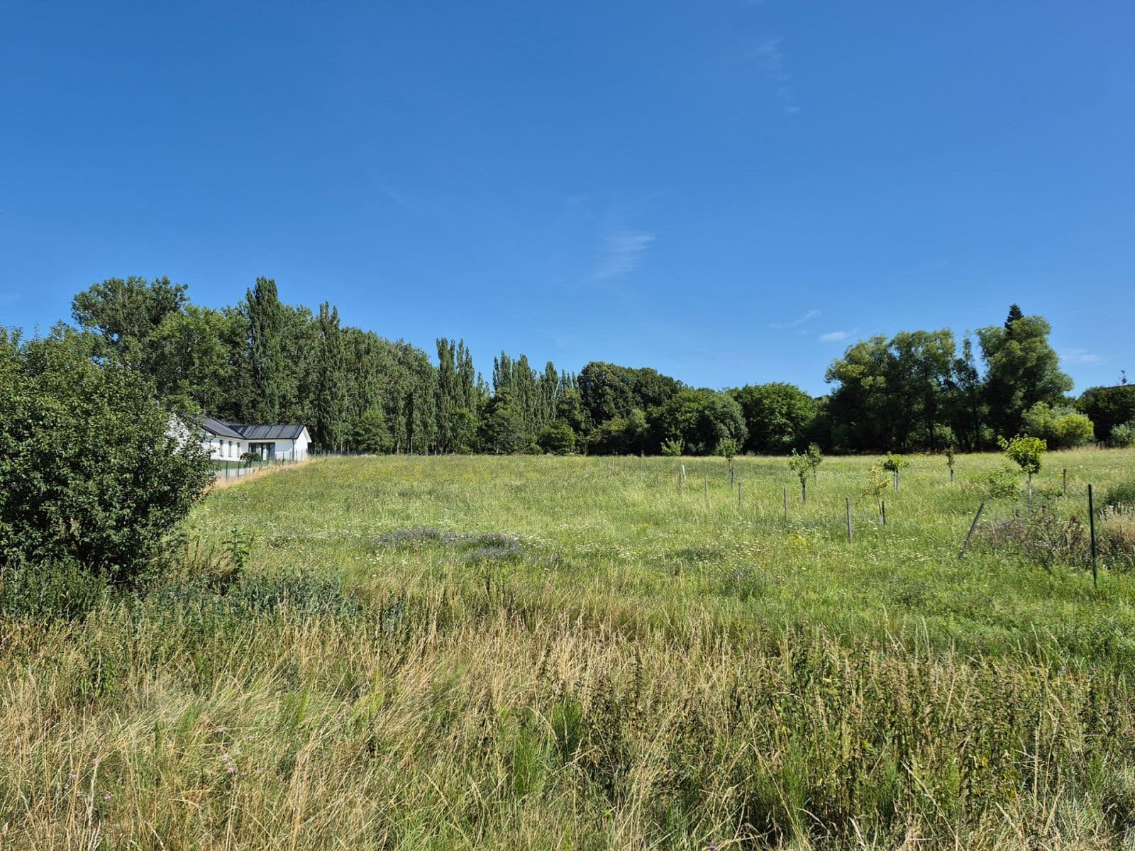 Prodej pozemku 2.612 m², Domousnice, Středočeský kraj Prodej pozemku 2.612 m², Domousnice, Středočeský kraj