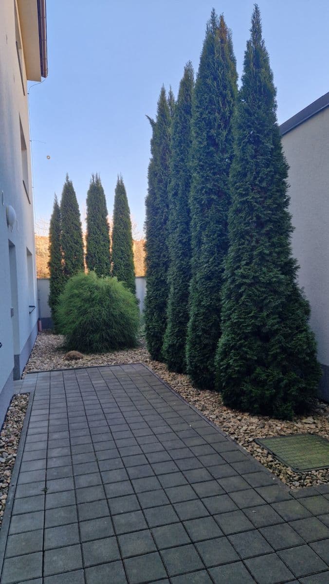 Pronájem bytu 1+kk 36 m², Šafaříkova, Brno, Jihomoravský kraj Pronájem bytu 1+kk 36 m², Šafaříkova, Brno, Jihomoravský kraj