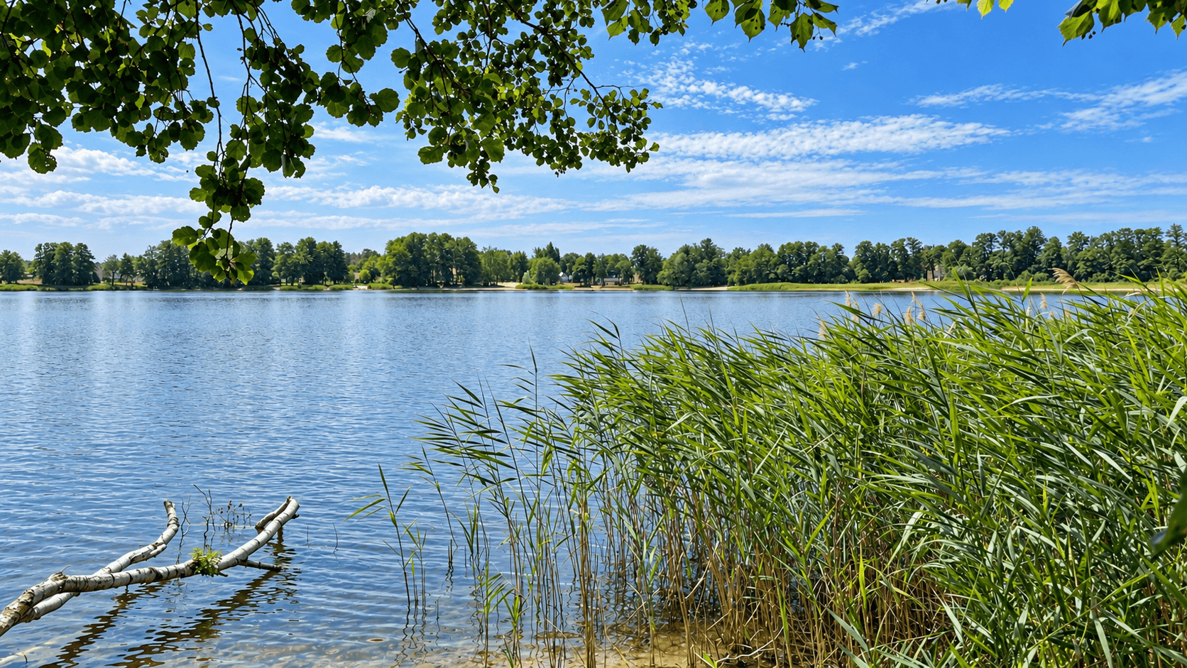 Prodej pozemku 1.438 m², Michendorf, Braniborsko Prodej pozemku 1.438 m², Michendorf, Braniborsko