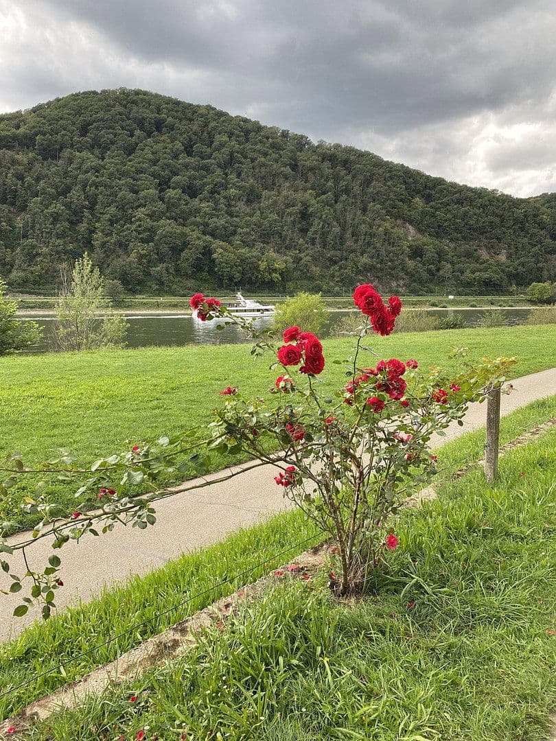 Pronájem bytu 2+1 45 m², Lahnstein, Porýní-Falc Pronájem bytu 2+1 45 m², Lahnstein, Porýní-Falc
