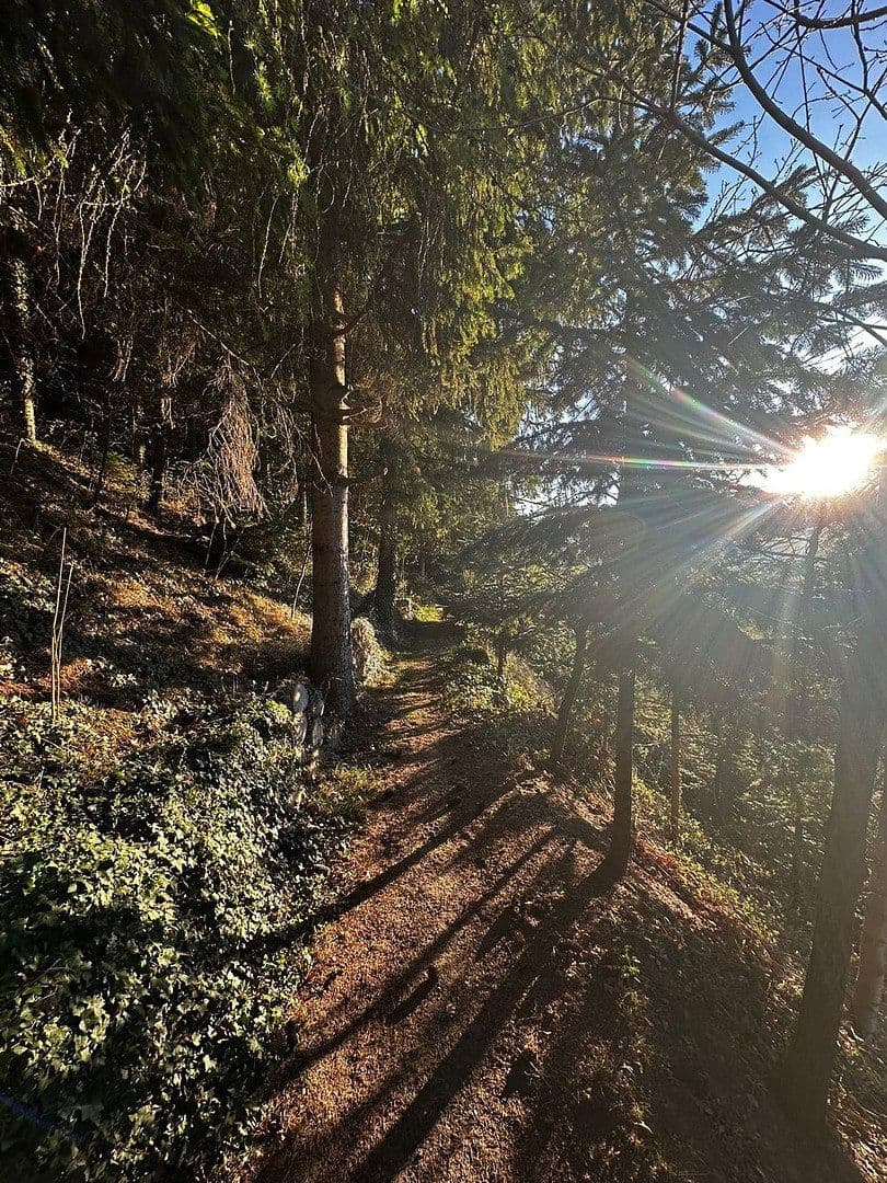 Prodej domu 380 m², pozemek 8.200 m², Kronawettersiedlung 7, Kapfenberg, Štýrsko Prodej domu 380 m², pozemek 8.200 m², Kronawettersiedlung 7, Kapfenberg, Štýrsko