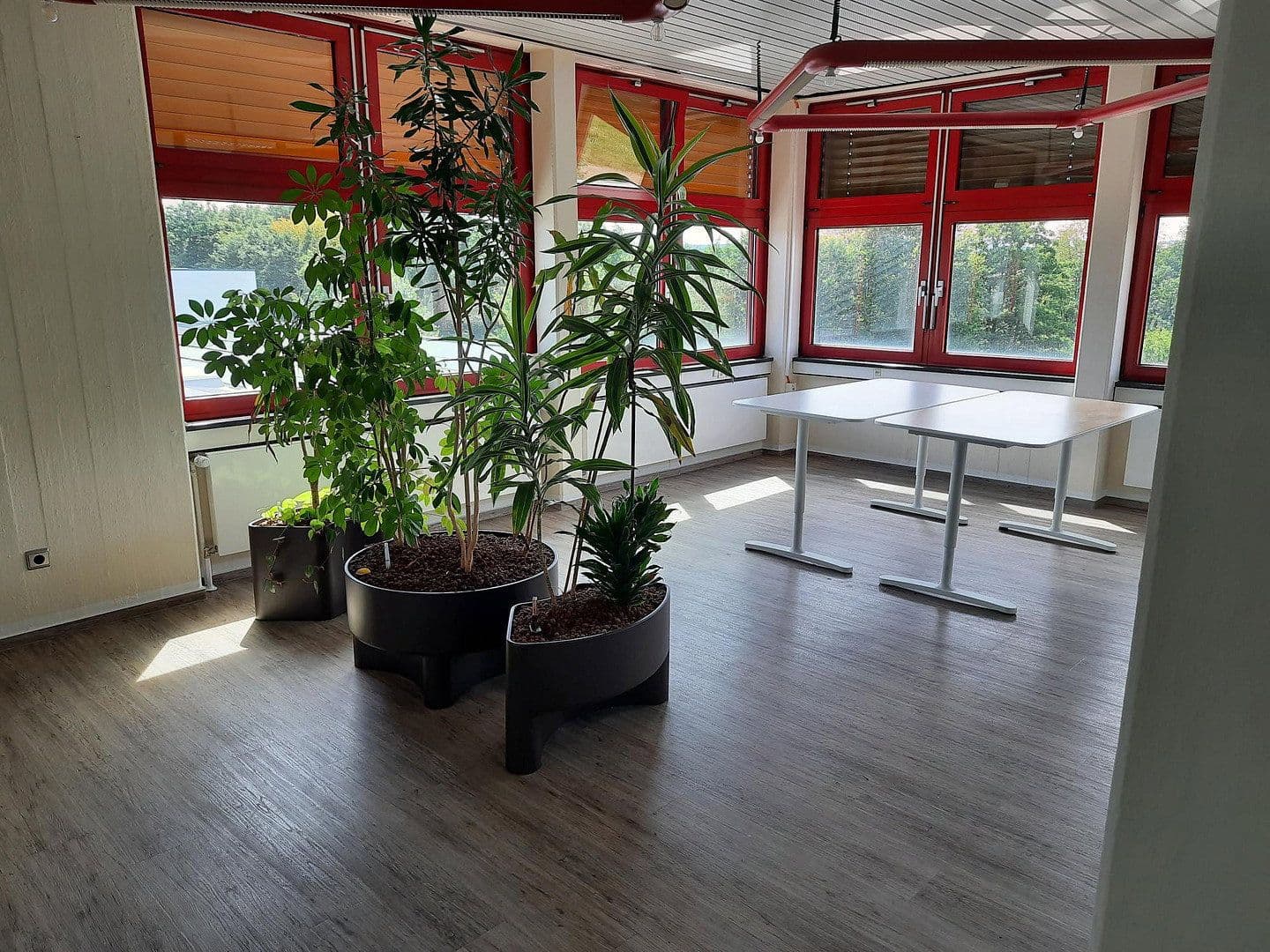 Pronájem kanceláře 320 m², Bühlinger Strassse 56, Neustadt (Wied), Porýní-Falc Pronájem kanceláře 320 m², Bühlinger Strassse 56, Neustadt (Wied), Porýní-Falc