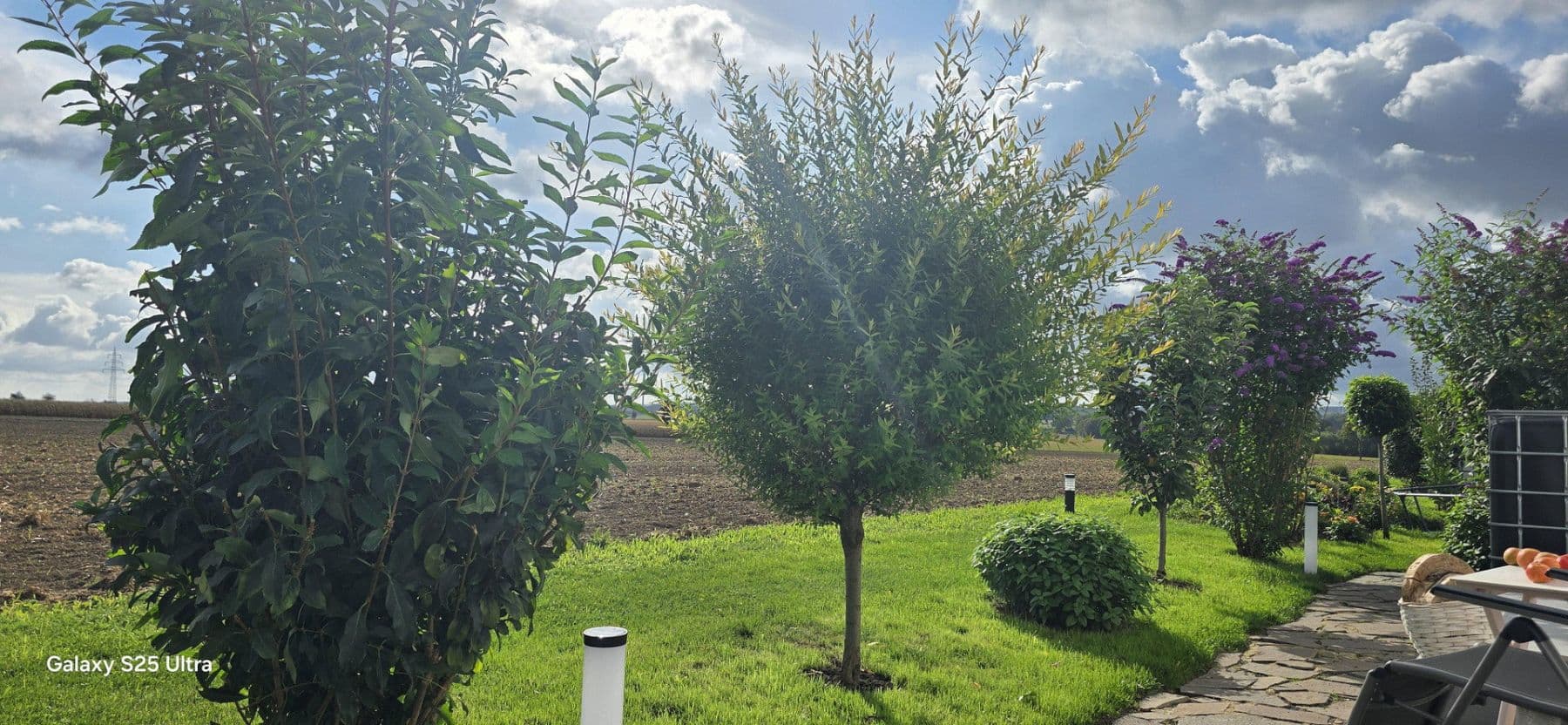 Prodej domu 144 m², pozemek 589 m², Soest, Severní Porýní-Vestfálsko Prodej domu 144 m², pozemek 589 m², Soest, Severní Porýní-Vestfálsko