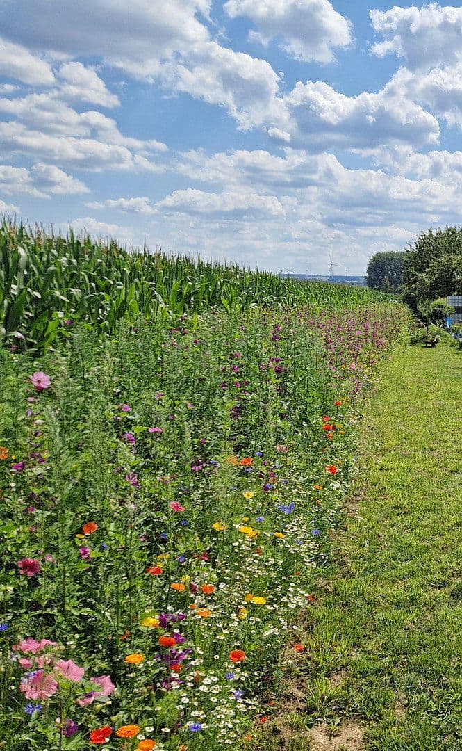 Prodej domu 144 m², pozemek 589 m², Soest, Severní Porýní-Vestfálsko Prodej domu 144 m², pozemek 589 m², Soest, Severní Porýní-Vestfálsko