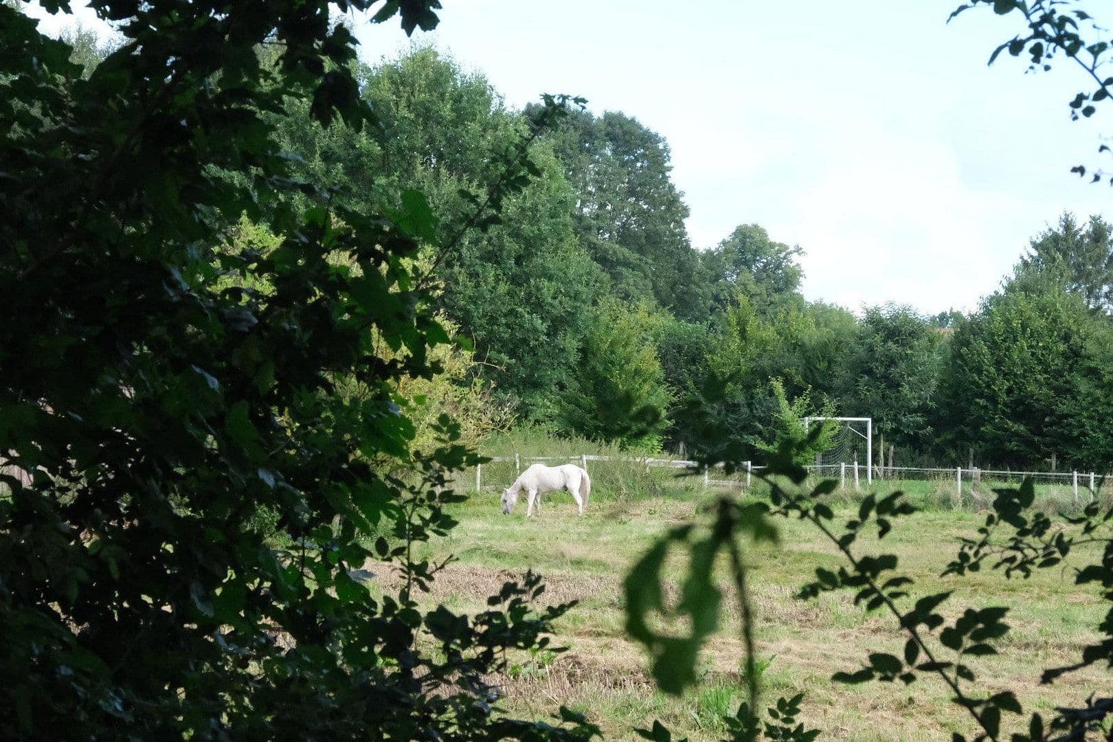 Prodej pozemku 857 m², Eschenweg, Lüdersburg, Dolní Sasko Prodej pozemku 857 m², Eschenweg, Lüdersburg, Dolní Sasko