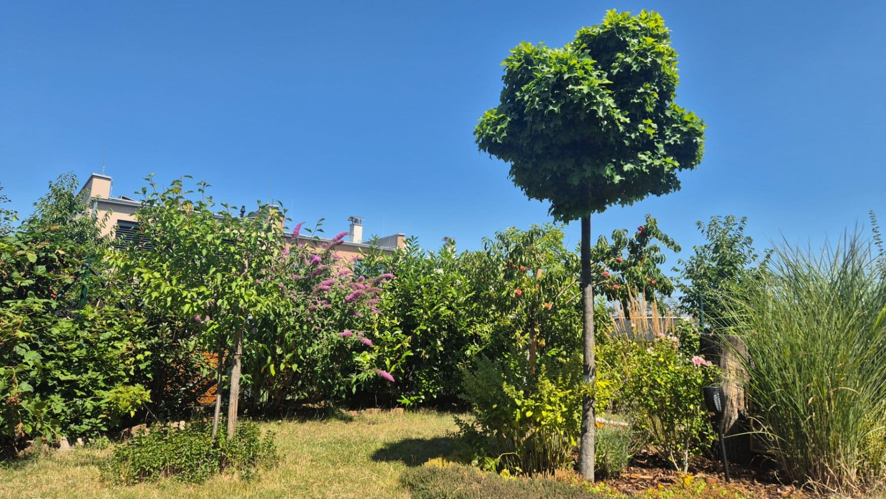 Prodej domu 156 m², pozemek 296 m², K Odpočinku, Praha, Praha Prodej domu 156 m², pozemek 296 m², K Odpočinku, Praha, Praha