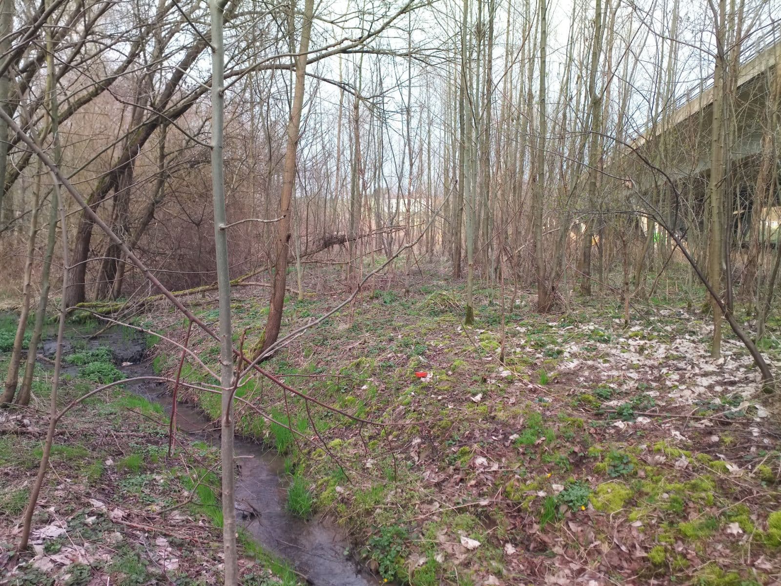 Prodej pozemku 1.145 m², Klimkovice, Moravskoslezský kraj Prodej pozemku 1.145 m², Klimkovice, Moravskoslezský kraj