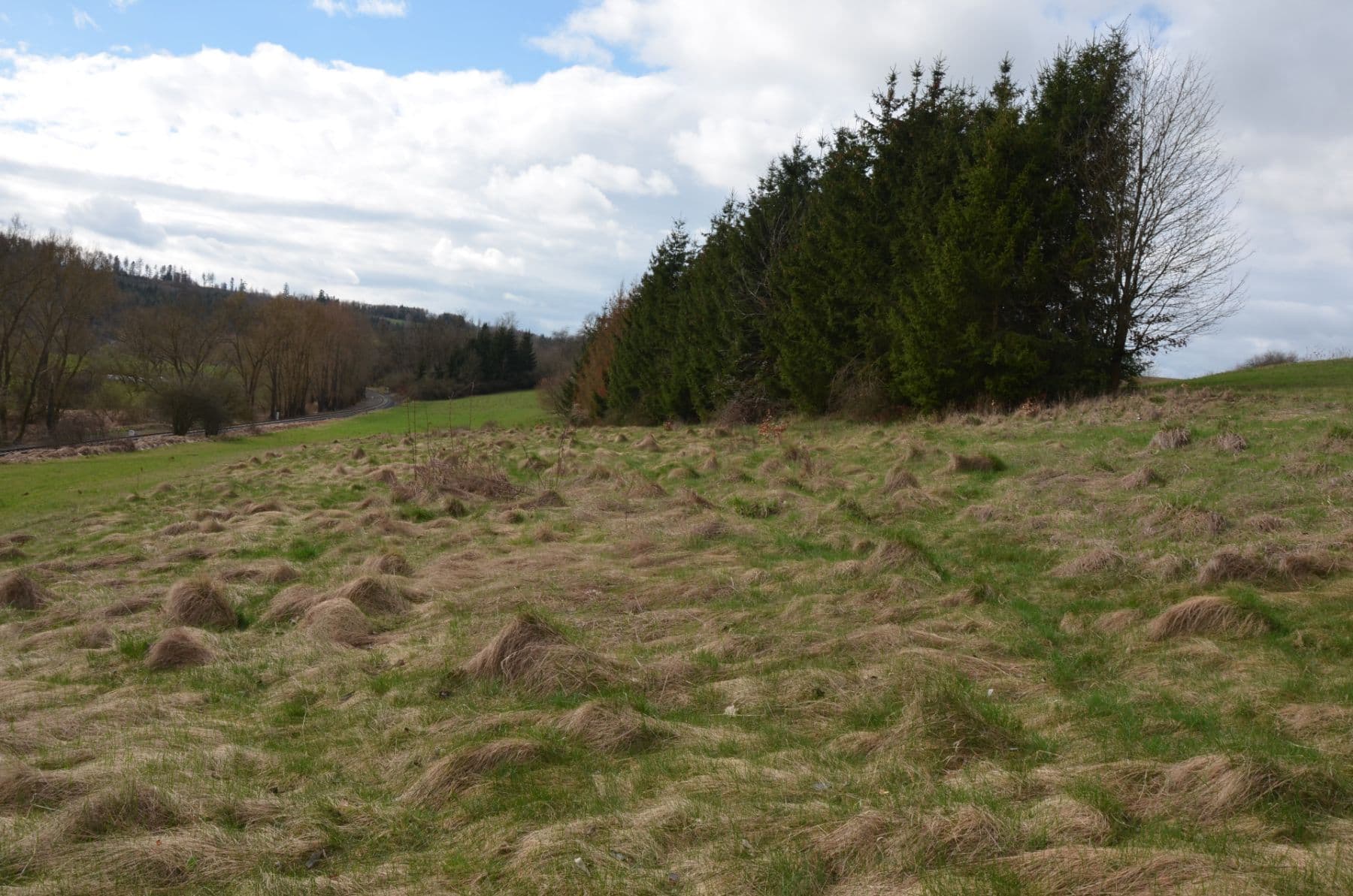 Prodej pozemku 2.259 m², Zruč nad Sázavou, Středočeský kraj Prodej pozemku 2.259 m², Zruč nad Sázavou, Středočeský kraj