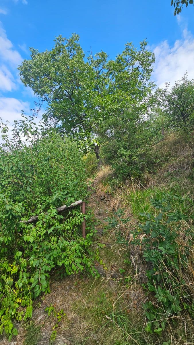 Prodej chaty, chalupy 650 m², pozemek 650 m², Štětí, Ústecký kraj Prodej chaty, chalupy 650 m², pozemek 650 m², Štětí, Ústecký kraj