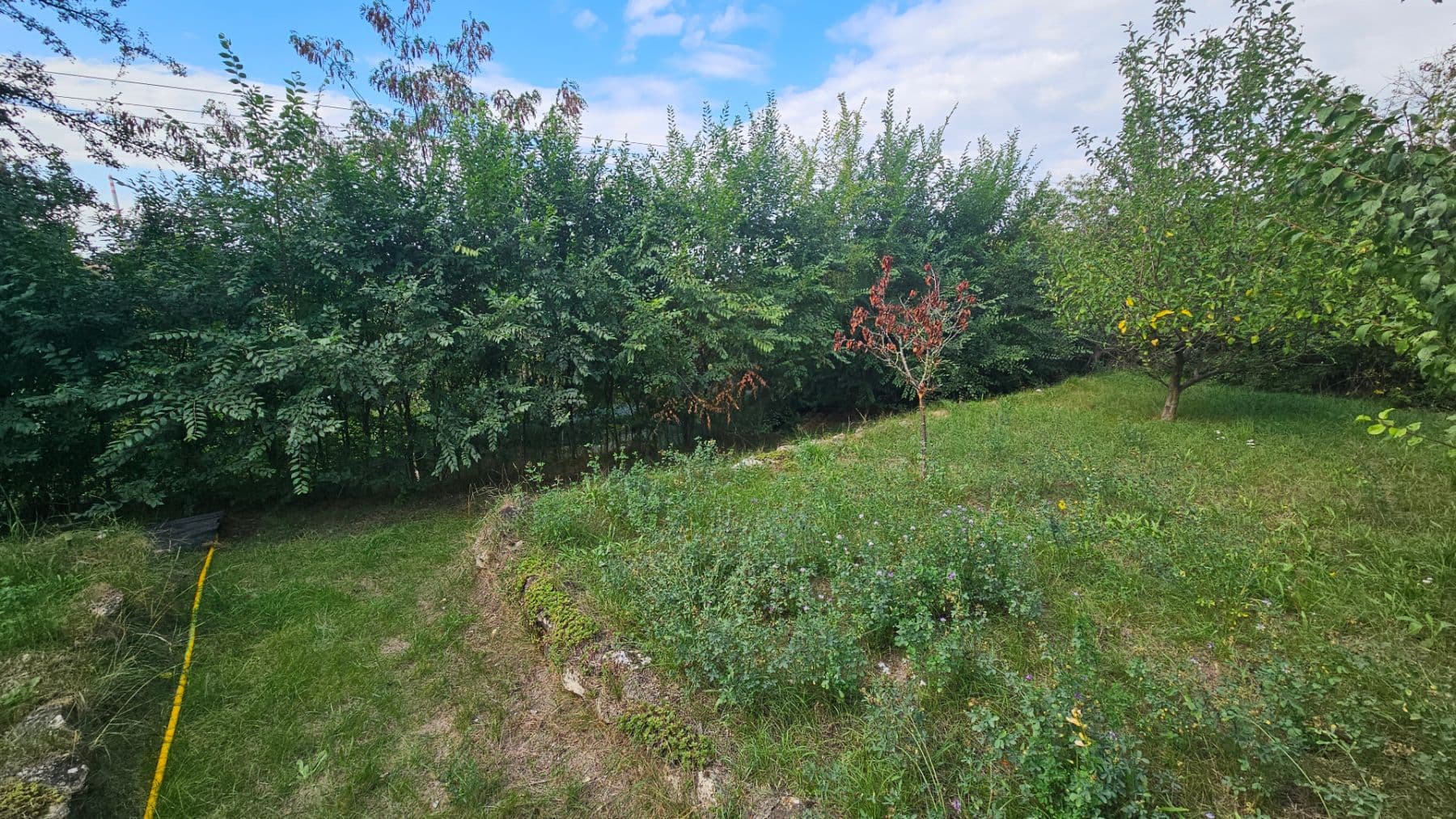 Prodej chaty, chalupy 650 m², pozemek 650 m², Štětí, Ústecký kraj Prodej chaty, chalupy 650 m², pozemek 650 m², Štětí, Ústecký kraj